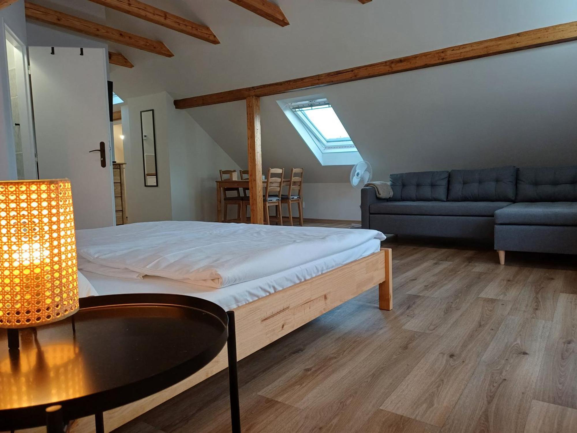 Loft Apartment Karlovy Vary Exterior foto