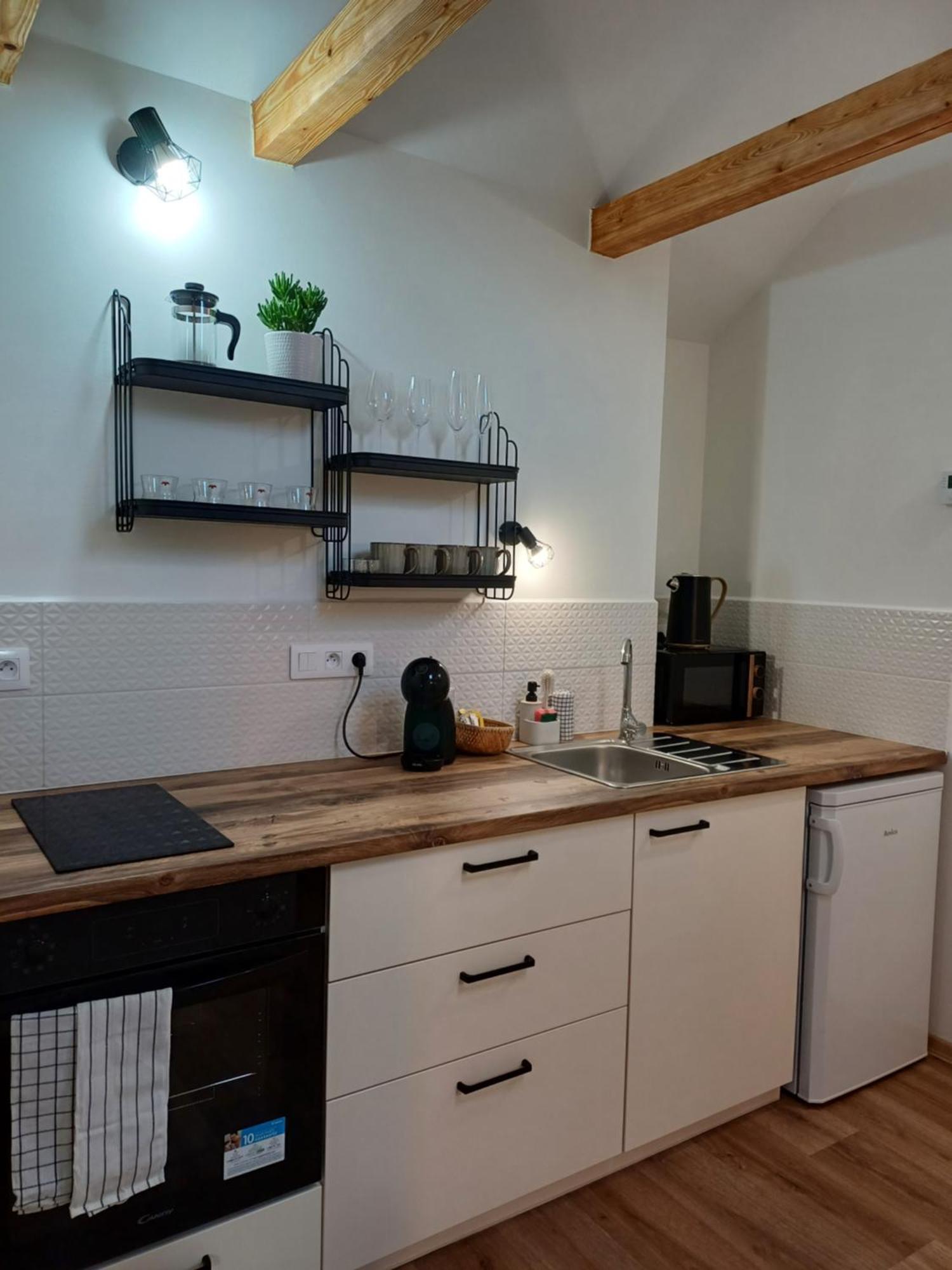 Loft Apartment Karlovy Vary Exterior foto
